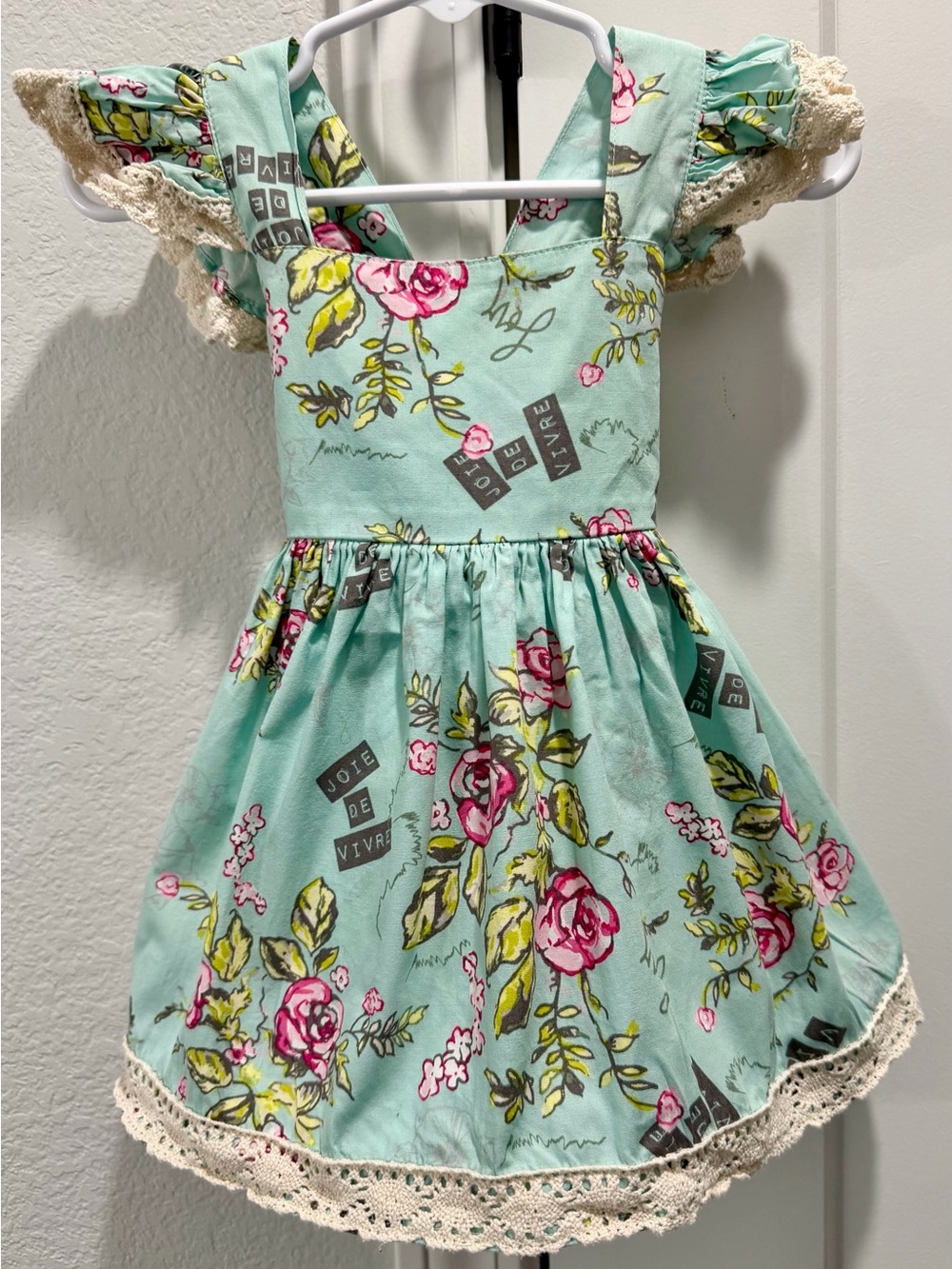 Sweet Honey Mint Pink Floral Sleeveless Dress Roses Lace Flutter Sleeve 12 Month